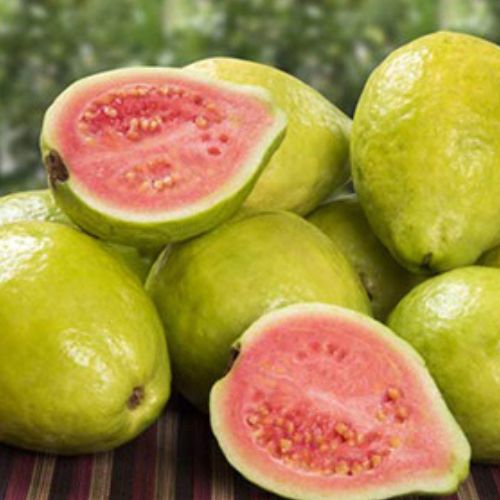 Guava