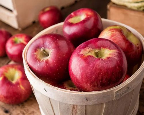 Fresh Apple Export Image