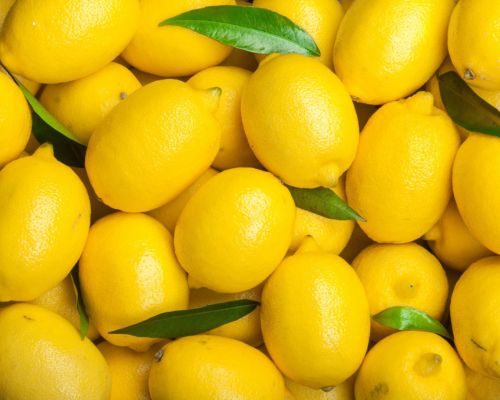 Fresh Lemon Export Image