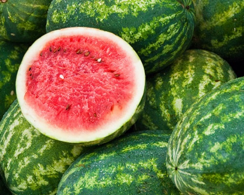 Fresh Watermelon Export Image
