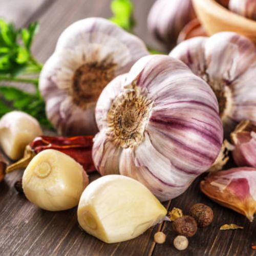 Garlic