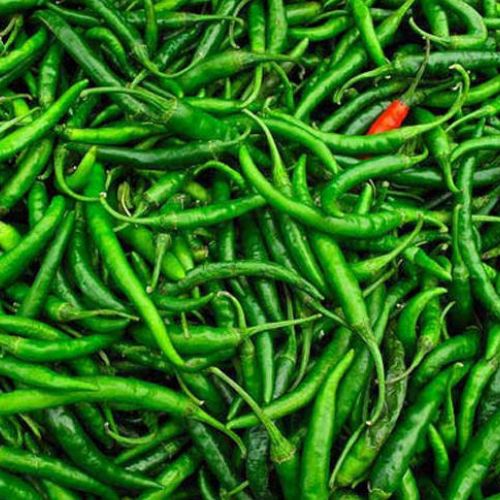Green Chilli
