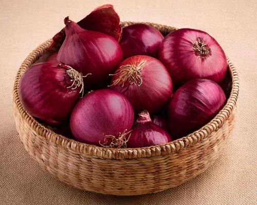 Fresh Onion Export Image